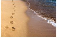 Turnberry accommodation - Bed and Breakfast