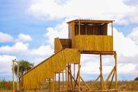 Little Amanya Camp Amboseli - Bed and Breakfast