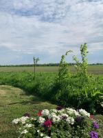 Kamer met Kingsize Bed en Uitzicht op de Tuin