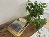 Standaard Tweepersoonskamer met Gedeelde Badkamer