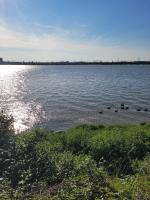Fantastic Studio, Private bathroom and Mini Kitchen. - Chambres d’hôtes