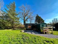 B&B Cardiff - Shepherds Hut in enclosed field - Bed and Breakfast Cardiff