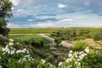 Naftali Guest Farm - B&B Kanoneiland