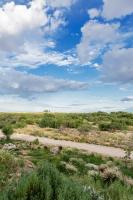 Naftali Guest Farm - B&B Kanoneiland