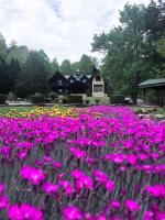 A River Runs Through It - B&B Sevierville