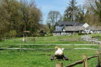 Badgers Holt House - B&B Plymouth