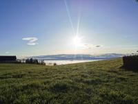 Pine View - Bed and Breakfast Gressenberg