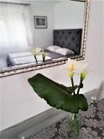One-Bedroom Apartment with Garden View