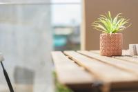 Monolocale con Terrazza