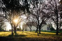 Domaine Truffier du Grand Merlhiot - Chambres d’hôtes Savignac-les-Églises