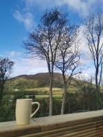FAB Caravan Holiday Home - Bed and Breakfast