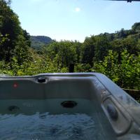 'Morris' the shepherd's hut ,woodland hot tub available, separate fee - Ferienwohnung Carmarthen