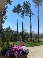 Casa Vacanza Capozzoli - B&B Albanella