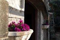 La Corte di Nonno - Bed and Breakfast Frascati