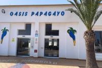 Casa Felice Oasis Papagayo - B&B Corralejo