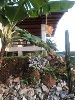 La petite Maison Bakov’ - Chambres d’hôtes Rémire-Montjoly