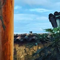 Casa Hostel MamaChinca - B&B