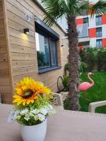 Sika Garden Apartment Arad - B&B