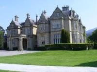 Cherry Tree Accommodation - B&B