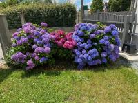 Vendée - Petite Maison de Vacances - B&B La Genétouze