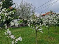 B&B Sarajevo - Green Garden Apartment - Bed and Breakfast Sarajevo