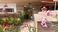 Bohemio Playa Los Cristianos by Deihu Experiences - B&B El Guincho