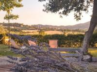 Le Piracante - B&B Caiazzo