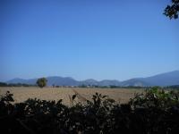 Habitación Doble Básica con baño compartido