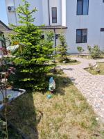 B&B Năvodari - Sunshine Apartments - Bed and Breakfast Năvodari