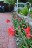 Simge Pension - B&B Çıralı