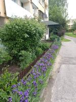 Aparament Podzamcze - B&B Lublino