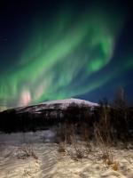Appartement met 1 Slaapkamer