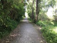 Adorable 1-bedroom guesthouse with a deck - B&B Lower Hutt