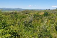 Residenza Anna - B&B Montemerano