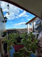 Moonlight Residence - B&B Oradea