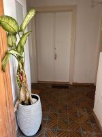Cozy Apartment Elterleinplatz - Quiet & Close to Center - Ferienwohnung