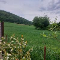 Ferienwohnung Rudat - B&B Treuchtlingen