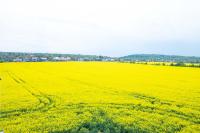 Apartmán Sunset View - Bed and Breakfast Skalica