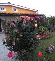 La casetta di samba - B&B Anguillara Sabazia