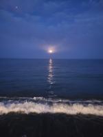 APARTAMENTO PLAYA LA VIÑA P - B&B Torremolinos