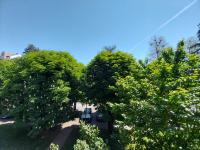 Apartmani Sofronic Loznica 1 - B&B Loznica