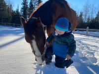 Chalet Mikua, 6 p. spa, billard, Forêt & Nature - B&B La Malbaie