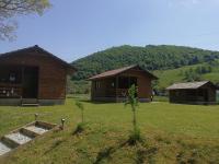 Căsuțe Zăvoi Bulz - B&B