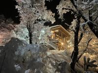 Malga Andina - B&B Malalcahuello