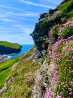 Polrunny Farm Blackberry Cottage - Cornwall bliss in sight of the sea - B&B Boscastle