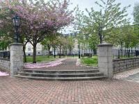 Ground floor Central 1 bed with parking - B&B