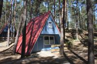 Glücklich am Strand - Ruhe im Kiefernwald mit Terrasse & Hundeherz willkommen - B&B Trassenheide