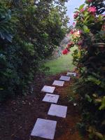 Ti’Bou des Îles de Guadeloupe - B&B