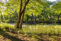 Medina River Historic Cottage - B&B Castroville