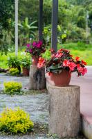 Brisas del Río - B&B
